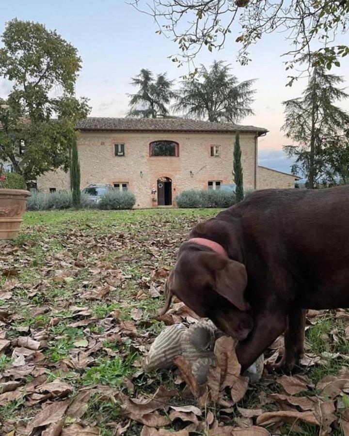 Séjour à la ferme La Segolina *