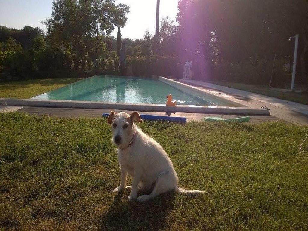 La Segolina *