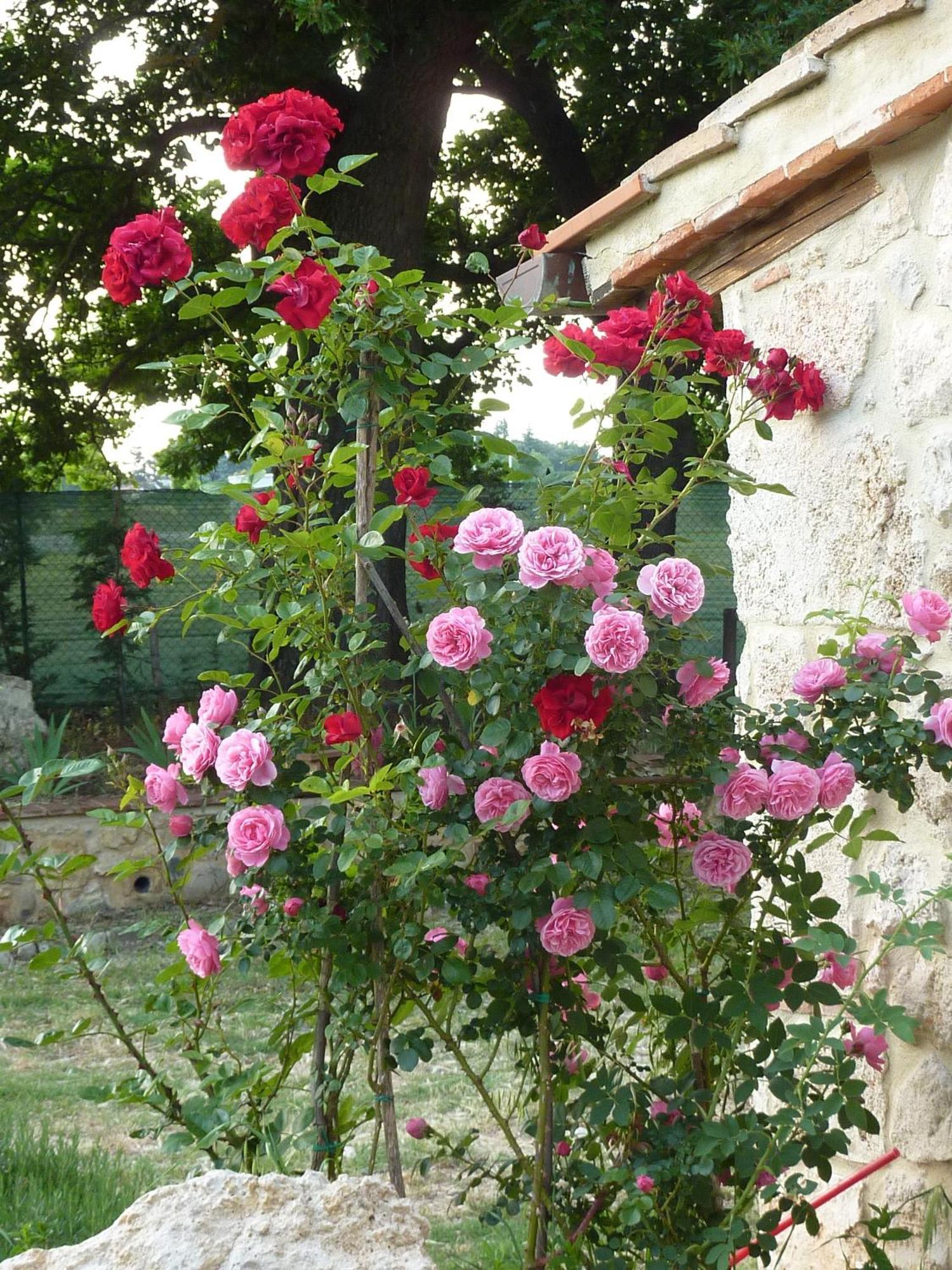Farm stay La Segolina Colle Val D'Elsa