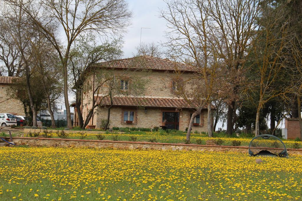 La Segolina * Colle Val D'Elsa