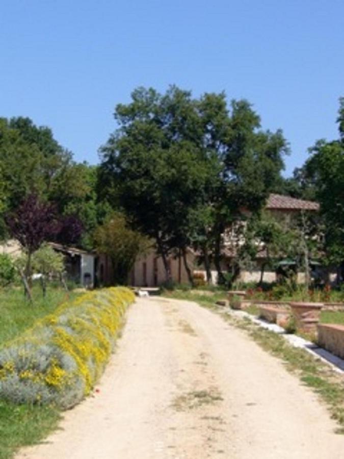 Farm stay La Segolina Colle Val D'Elsa
